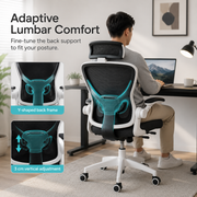 AeroFlex Ergonomic Mesh Office Chair with Adjustable Lumbar Support, 2D Headrest, Flip Up Armrests and Recline Tilt for Home Office